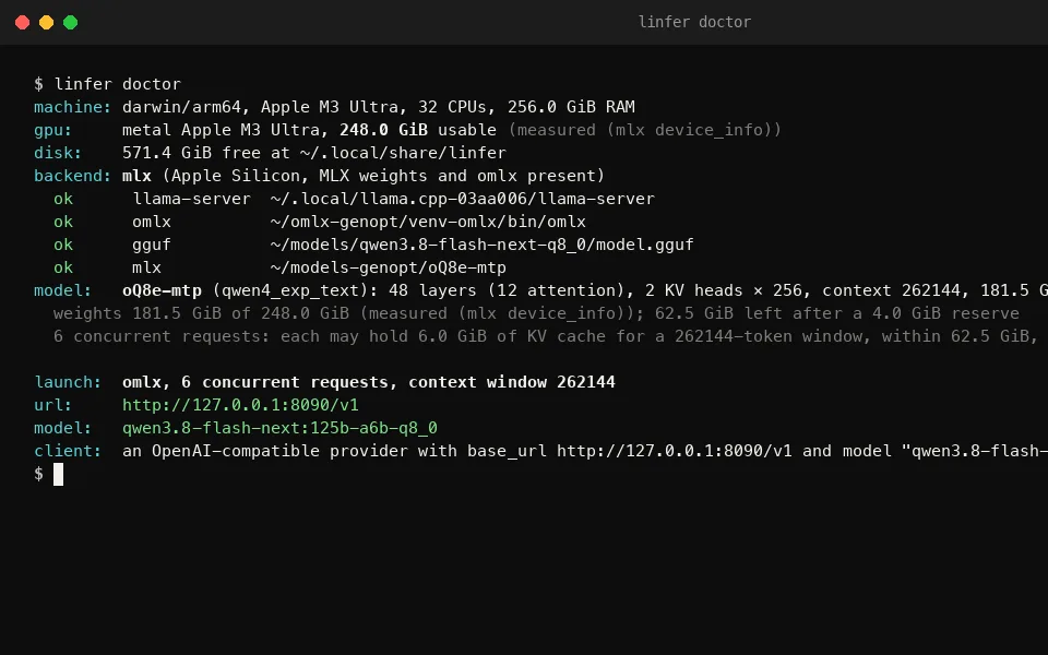 linfer doctor on a 256 GB Apple Silicon machine, picking the backend and printing the URL and model id for the client